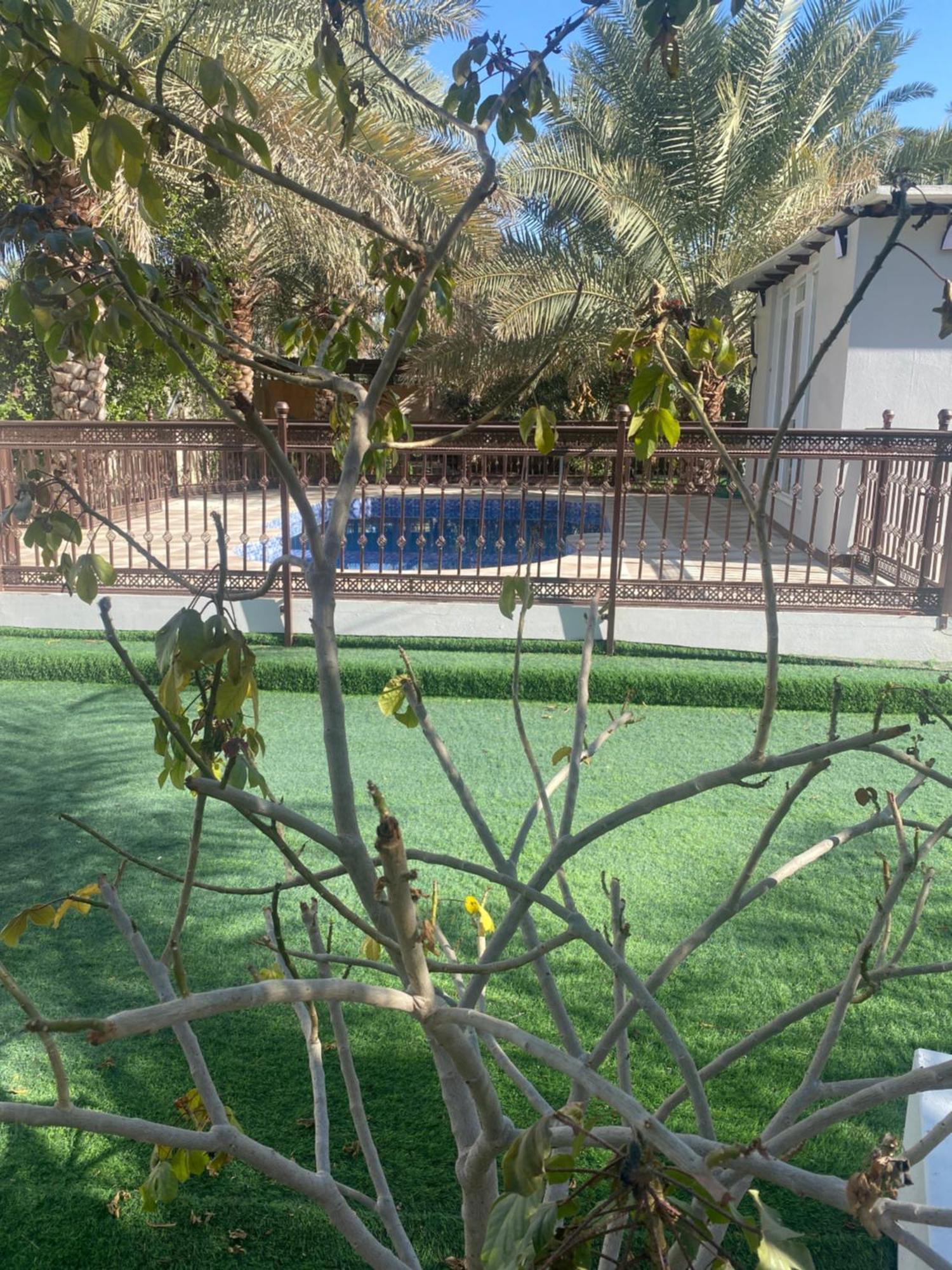 Dar Alhamra دار الحمراء Apartamento Al Hamra